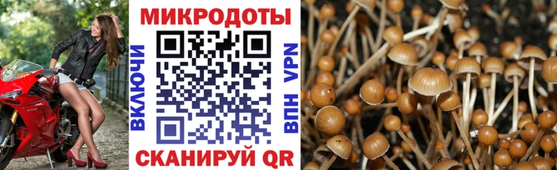 Купить закладки  Избербаш  Псилоцибиновые грибы мухоморы 