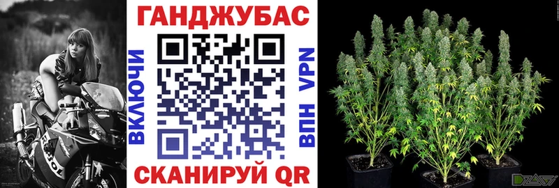 Купить закладки  Избербаш  Конопля индика 